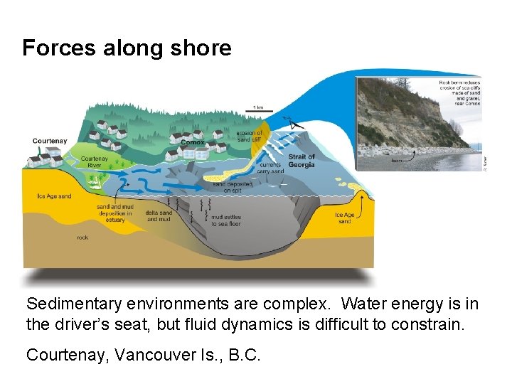 Forces along shore Sedimentary environments are complex. Water energy is in the driver’s seat,