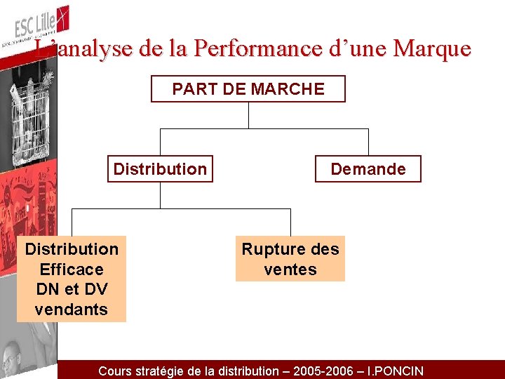 L’analyse de la Performance d’une Marque PART DE MARCHE Distribution Efficace DN et DV