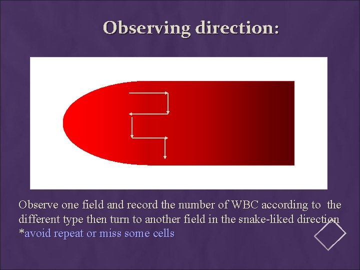 Observing direction: Observe one field and record the number of WBC according to the