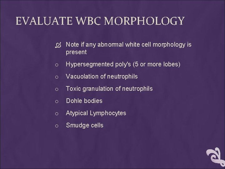 EVALUATE WBC MORPHOLOGY Note if any abnormal white cell morphology is present o Hypersegmented