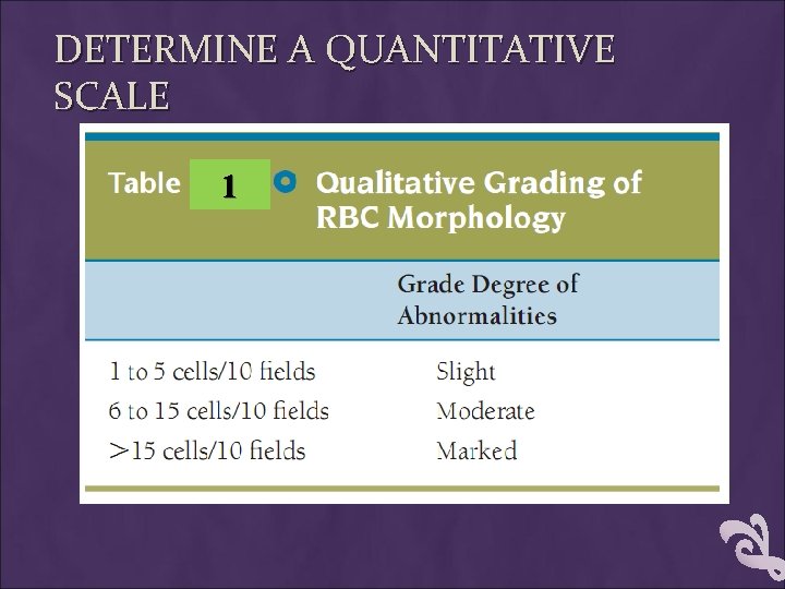 DETERMINE A QUANTITATIVE SCALE 1 