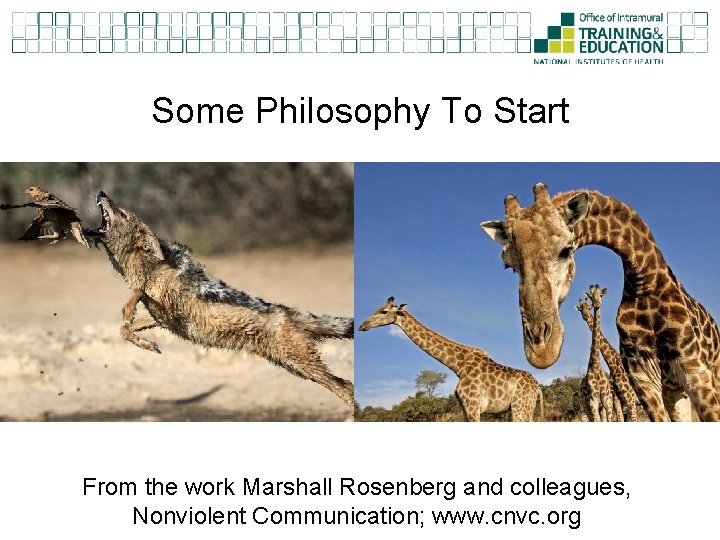 Some Philosophy To Start From the work Marshall Rosenberg and colleagues, Nonviolent Communication; www.