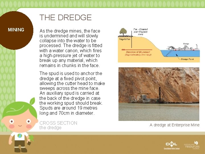 THE DREDGE MINING As the dredge mines, the face is undermined and will slowly