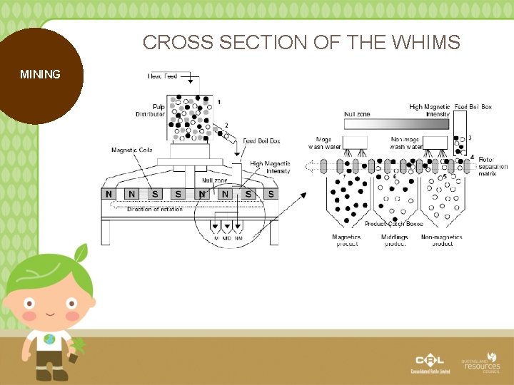 CROSS SECTION OF THE WHIMS MINING 