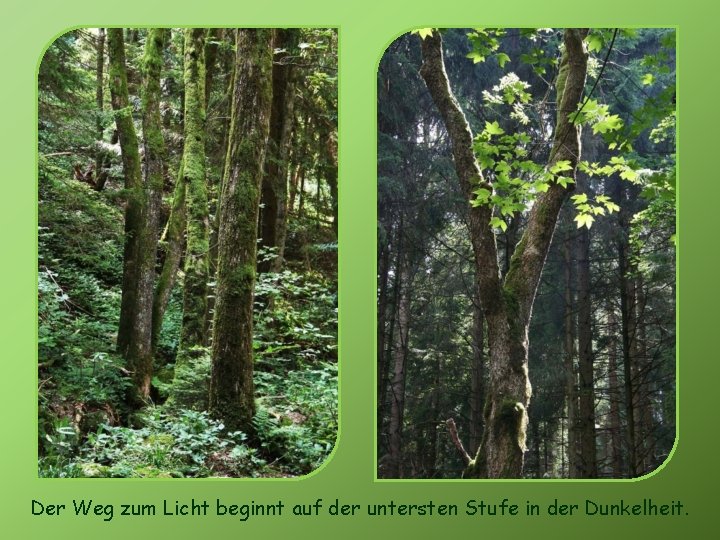 Der Weg zum Licht beginnt auf der untersten Stufe in der Dunkelheit. 