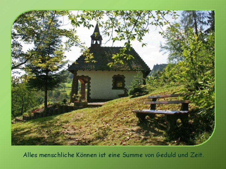 Alles menschliche Können ist eine Summe von Geduld und Zeit. 