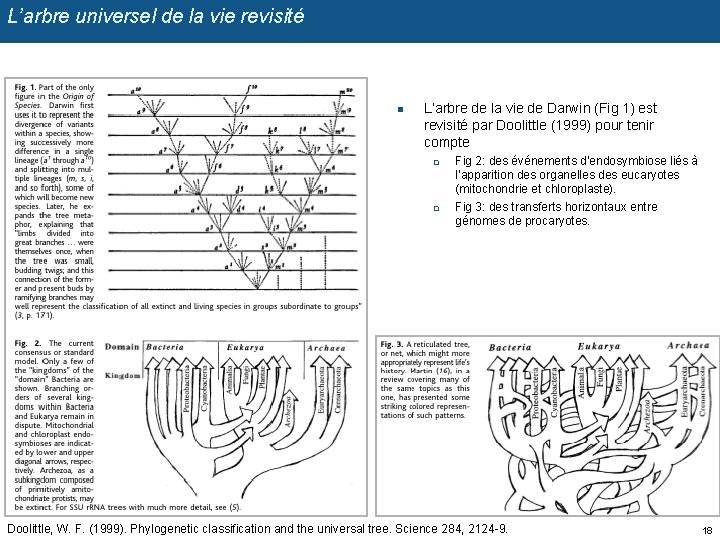 L’arbre universel de la vie revisité n L’arbre de la vie de Darwin (Fig