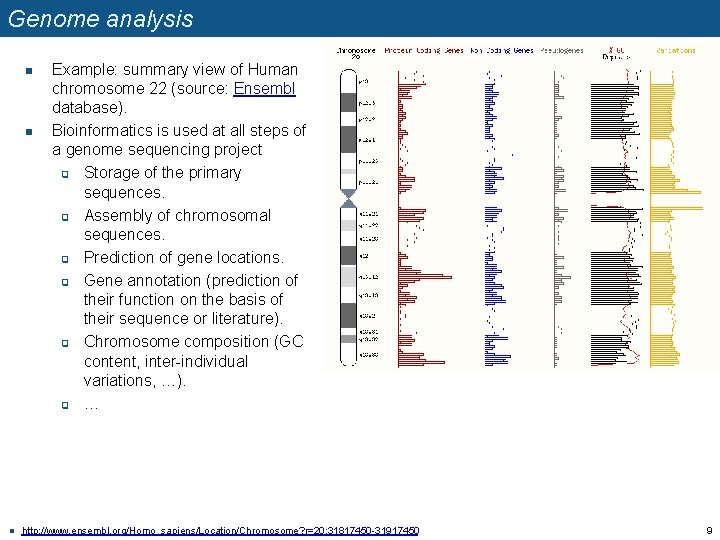 Genome analysis n n n Example: summary view of Human chromosome 22 (source: Ensembl