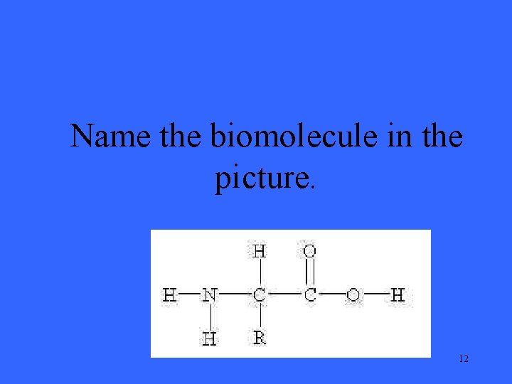 Name the biomolecule in the picture. 12 