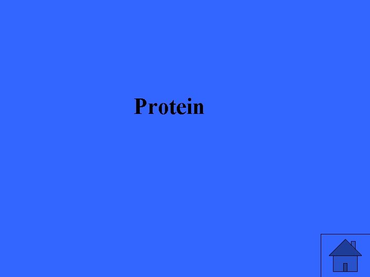 Protein 13 