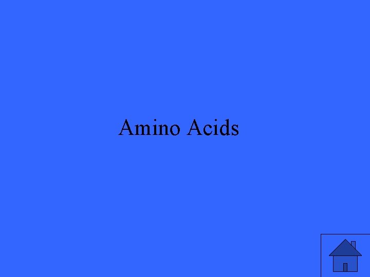 Amino Acids 19 