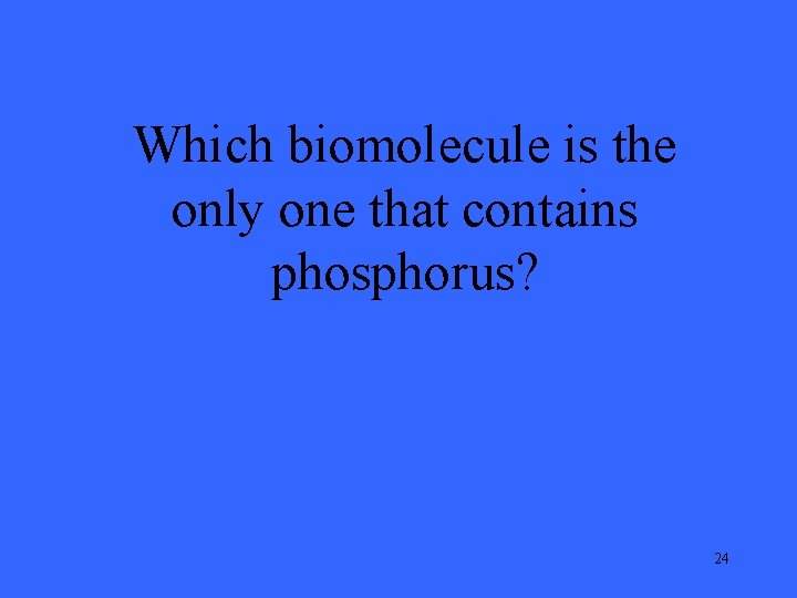 Which biomolecule is the only one that contains phosphorus? 24 