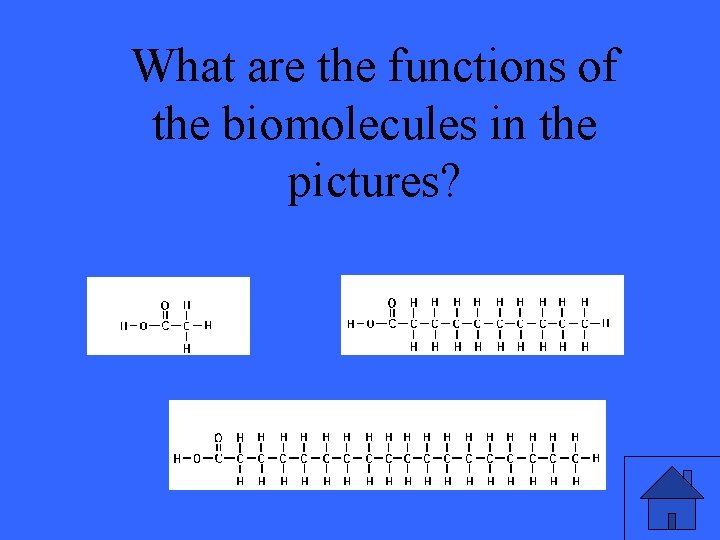 What are the functions of the biomolecules in the pictures? 28 