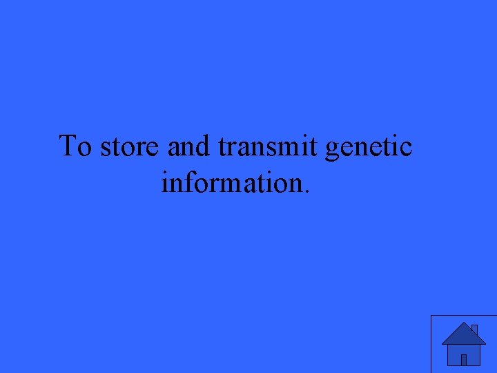 To store and transmit genetic information. 3 