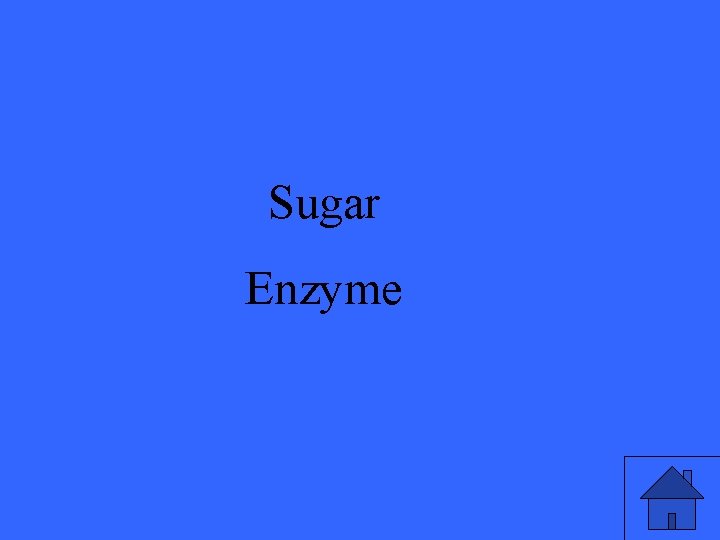 Sugar Enzyme 31 