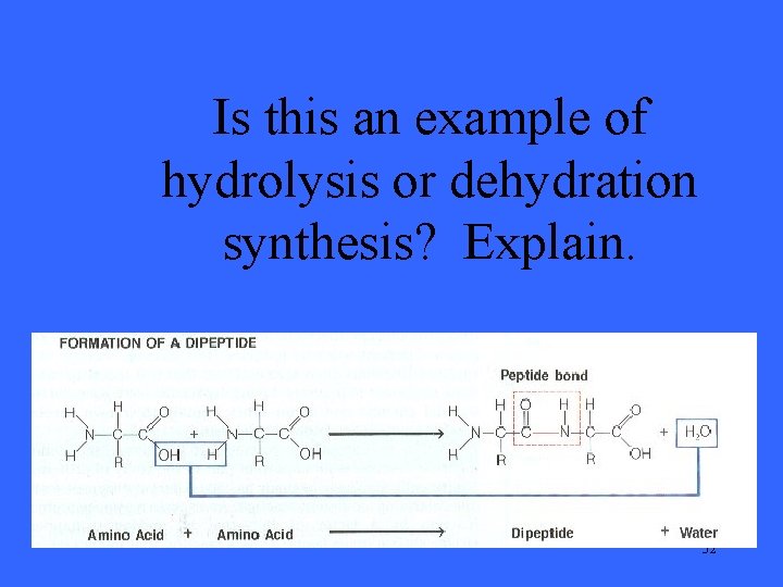 Is this an example of hydrolysis or dehydration synthesis? Explain. 32 