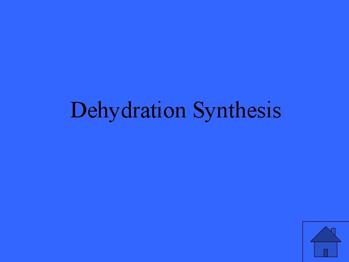 Dehydration Synthesis 33 