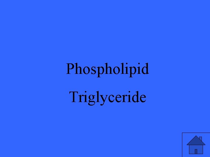 Phospholipid Triglyceride 37 