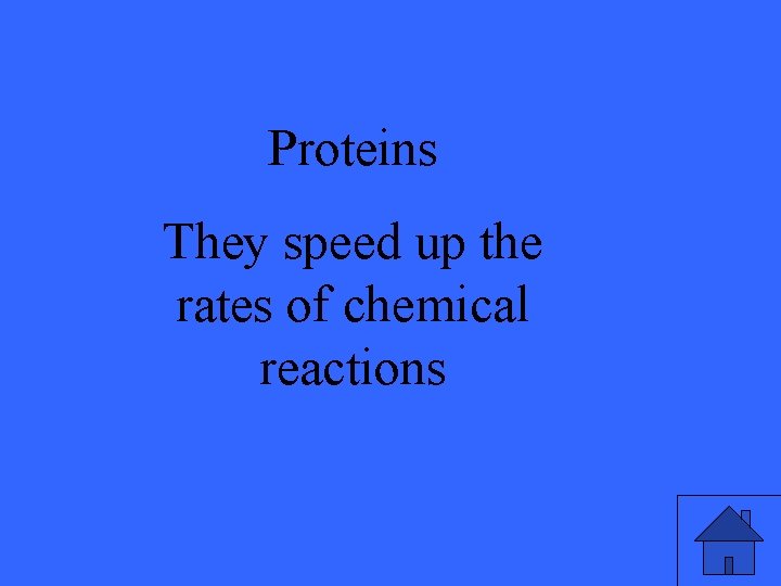 Proteins They speed up the rates of chemical reactions 39 