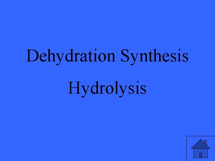 Dehydration Synthesis Hydrolysis 47 