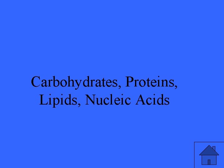 Carbohydrates, Proteins, Lipids, Nucleic Acids 7 