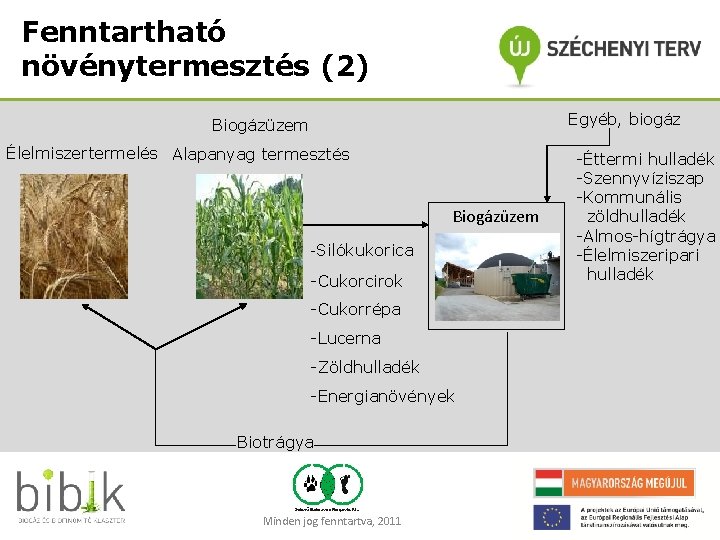 Fenntartható növénytermesztés (2) Egyéb, biogáz Biogázüzem Élelmiszertermelés Alapanyag termesztés Biogázüzem -Silókukorica -Cukorcirok -Cukorrépa -Lucerna