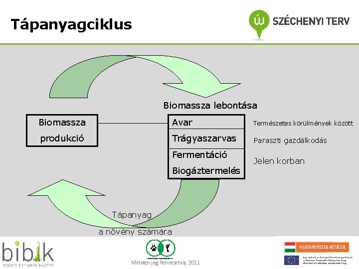 Tápanyagciklus Biomassza lebontása Biomassza Avar Természetes körülmények között produkció Trágyaszarvas Paraszti gazdálkodás Fermentáció Biogáztermelés