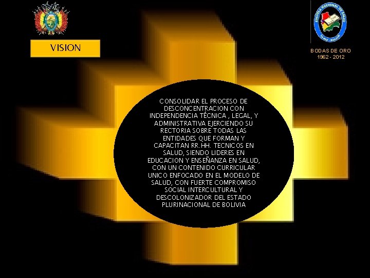 VISION ESTADO PLURINACIONAL DE BOLIVIA MINISTERIO DE SALUD Y DEPORTES VISION BODAS DE ORO