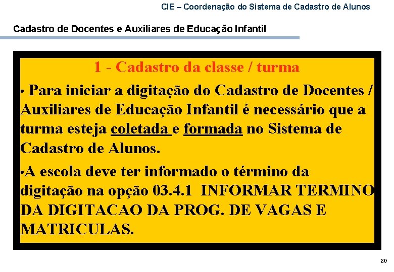 CIE – Coordenação do Sistema de Cadastro de Alunos Cadastro de Docentes e Auxiliares