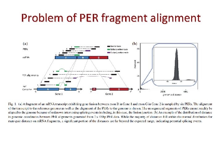 Problem of PER fragment alignment 