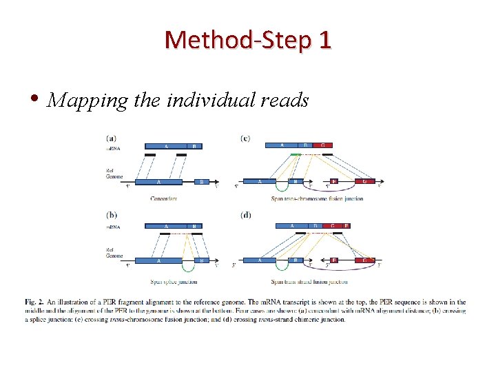 Method-Step 1 • Mapping the individual reads 