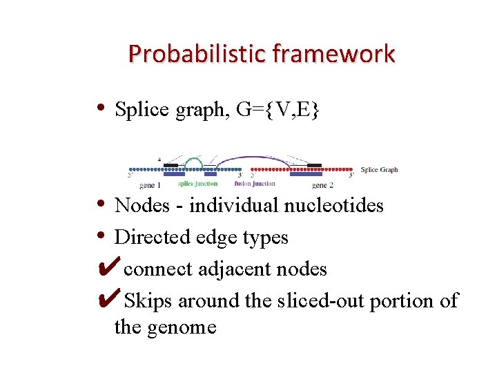 Probabilistic framework • Splice graph, G={V, E} • Nodes - individual nucleotides • Directed