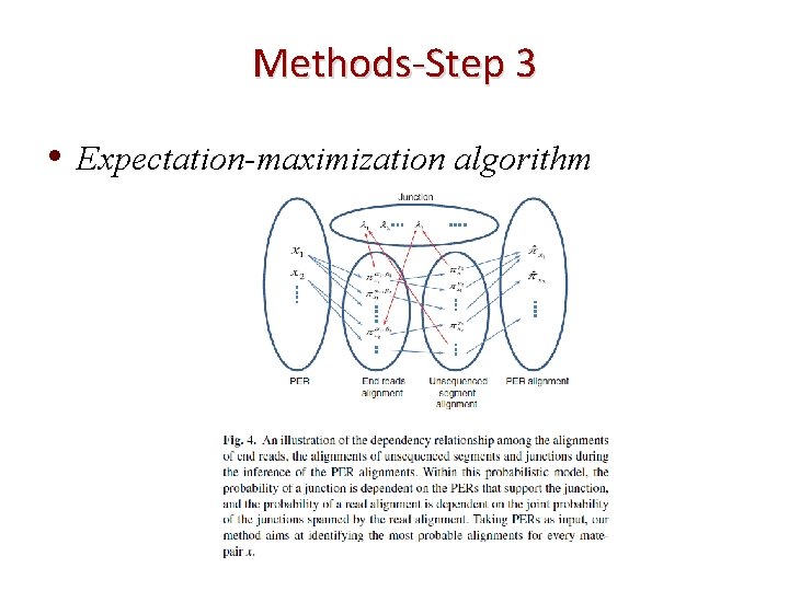 Methods-Step 3 • Expectation-maximization algorithm 