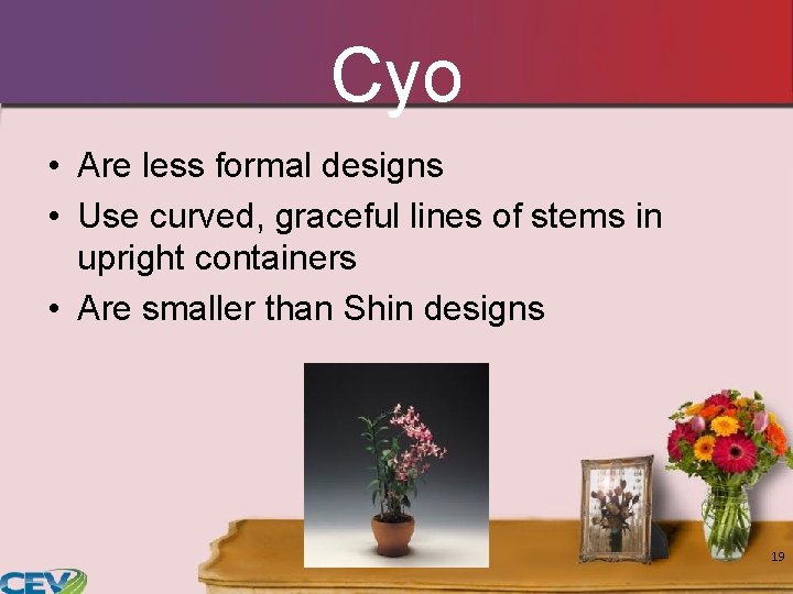 Cyo • Are less formal designs • Use curved, graceful lines of stems in Cyo • Are less formal designs • Use curved, graceful lines of stems in