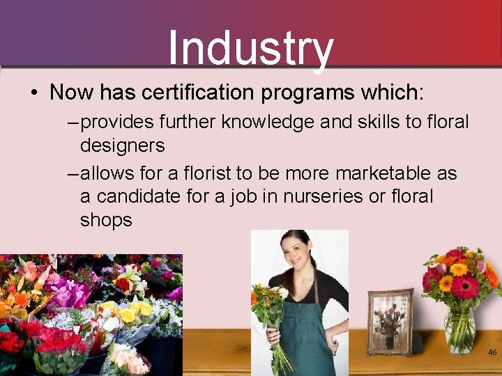 Industry • Now has certification programs which: – provides further knowledge and skills to