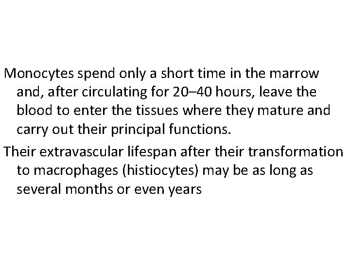 Monocytes spend only a short time in the marrow and, after circulating for 20–