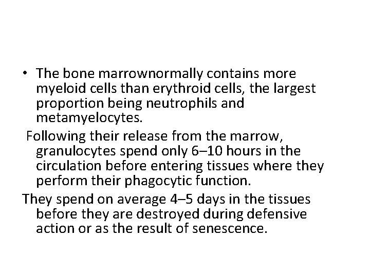 • The bone marrownormally contains more myeloid cells than erythroid cells, the largest