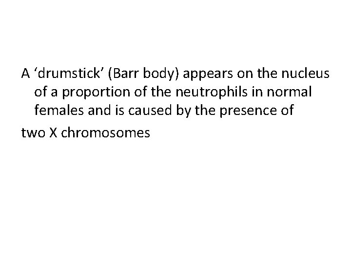 A ‘drumstick’ (Barr body) appears on the nucleus of a proportion of the neutrophils