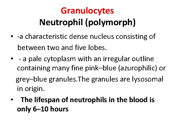 Granulocytes Neutrophil (polymorph) • ‐a characteristic dense nucleus consisting of between two and five