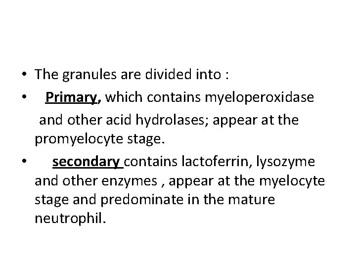  • The granules are divided into : • Primary, which contains myeloperoxidase and