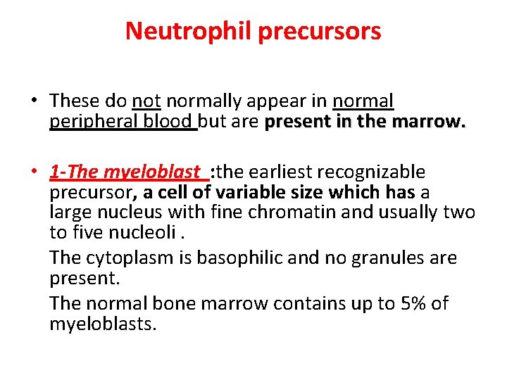 Neutrophil precursors • These do not normally appear in normal peripheral blood but are