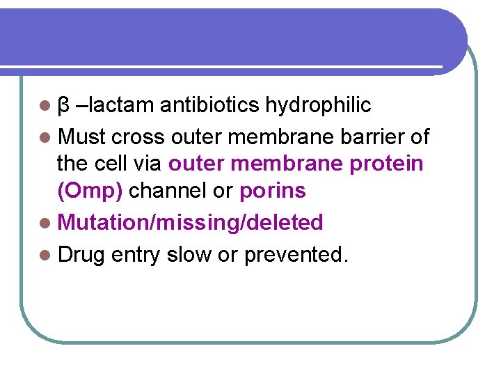 lβ –lactam antibiotics hydrophilic l Must cross outer membrane barrier of the cell via