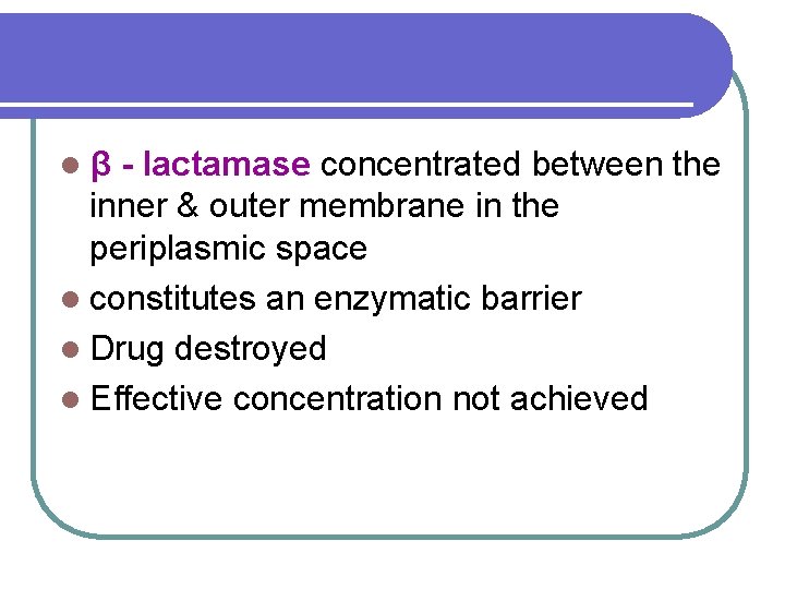 lβ - lactamase concentrated between the inner & outer membrane in the periplasmic space