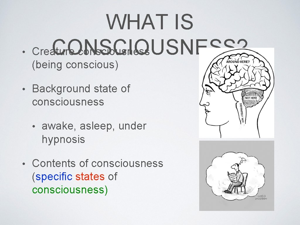  • WHAT IS CONSCIOUSNESS? Creature consciousness (being conscious) • Background state of consciousness