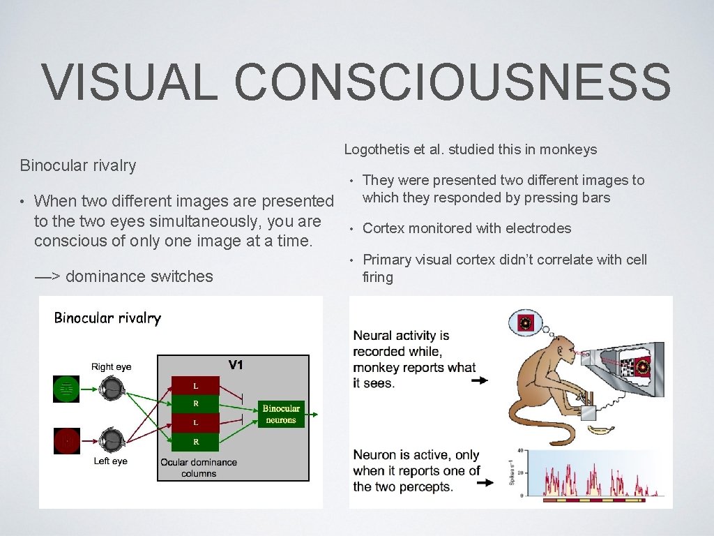 VISUAL CONSCIOUSNESS Binocular rivalry • When two different images are presented to the two