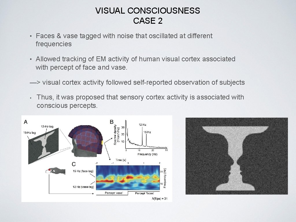 VISUAL CONSCIOUSNESS CASE 2 • Faces & vase tagged with noise that oscillated at