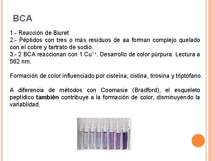 BCA 1. - Reacción de Biuret 2. - Péptidos con tres o más residuos