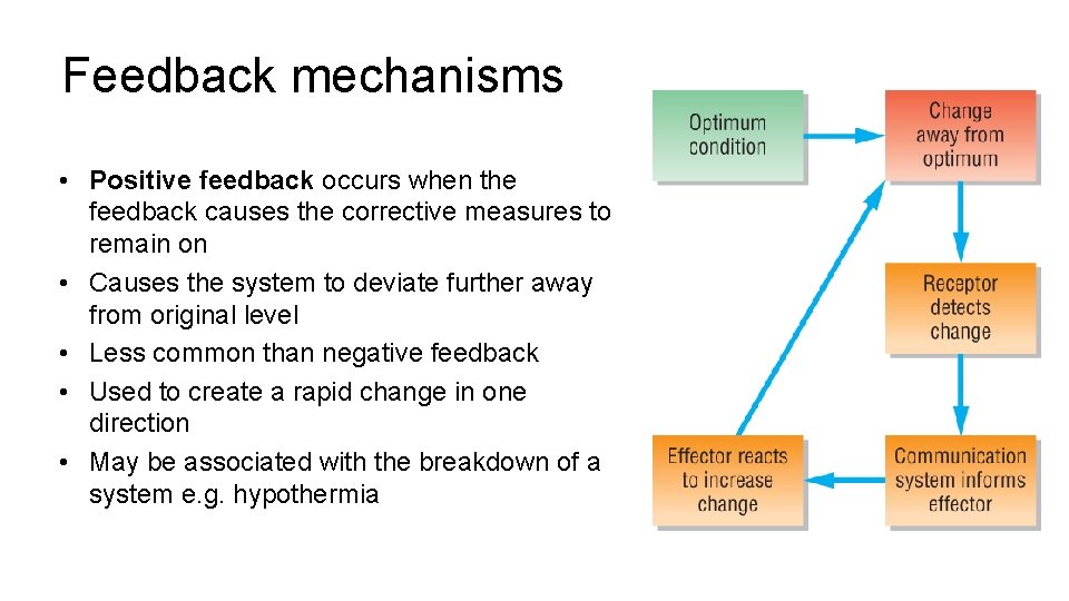 Feedback mechanisms • Positive feedback occurs when the feedback causes the corrective measures to