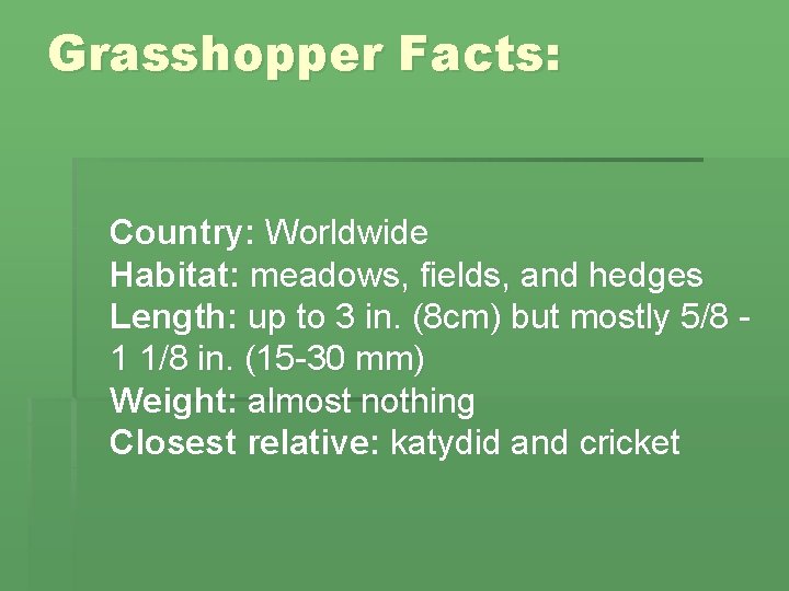 Grasshopper Facts: Country: Worldwide Habitat: meadows, fields, and hedges Length: up to 3 in.