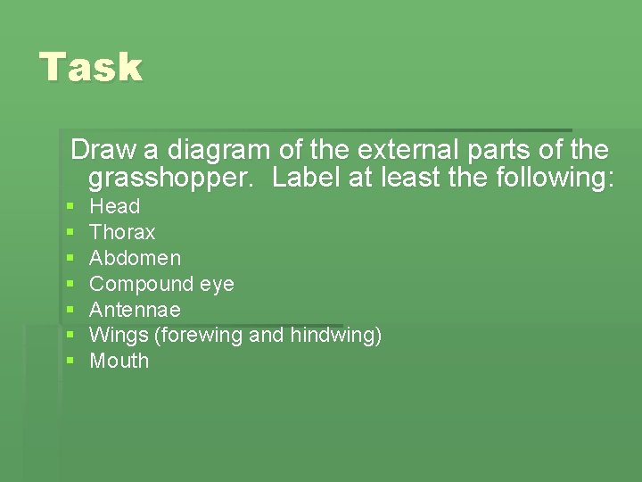 Task Draw a diagram of the external parts of the grasshopper. Label at least